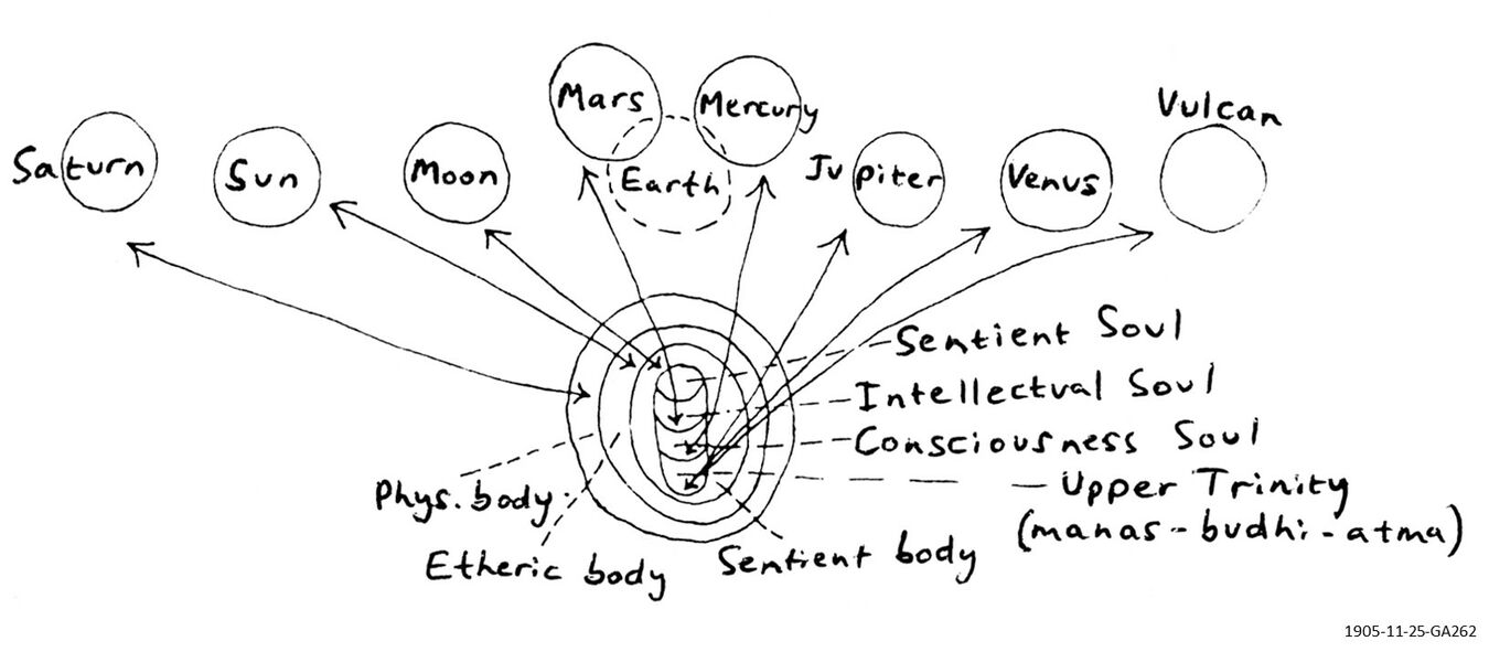 model-1-shows-the-relationship-between-bodily-structure-and-functions