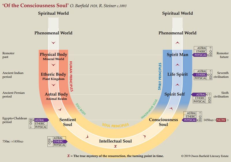 is a more visual representation by Owen Barfield of the development of Man's bodily principles in the cultural ages of the current Postatlantean epoch. Note: the three colours nicely reflect how a longer evolutionary period always has three parts: a preparatory third, a main characteristic third in the center, and a flushing third with preparations for the future - see See Schema FMC00.302. This is related to the fact that evolutionary periods overlap, see illustrations on Overlapping evolutionary periods.
