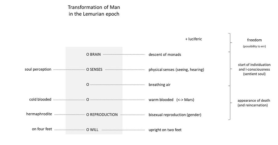 illustrates the transformation of the human being in the Lemurian epoch. Through a combination of influences such as the descent of the monads (Jehovah), the luciferic influence, the separation of Moon, and the Mars influence, there was a total transformation of the beings on Earth, and this represented the start of humanity with key characteristics as we know today. However though the human being became a warm-blooded breathing upright being with sentient soul and free will, these beings were in still in no way comparable with Man as we know today. For lecture references covering these various aspects, see Schema FMC00.457A This picture also points to the future Sixth epoch which will be equally completely transformative. After the reunion of Moon there will be the end of sexual procreation, end of reincarnation in the middle of the epoch, and the spiritualization of part of humanity at the end of the epoch.