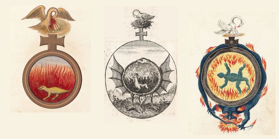 shows three 18th century illustrations, taken from 'Hermaphroditisches Sonn-und Monds-Kind' (1752) and 'Das buch der weissheit zum langen leben und vollkommenen reichthum' (1790). For variants of this image, see also the translation 'Hermaphrodite Child Of The Son And Moon' by Mike Brenner (1997), PDF freely available on the internet. In ancient alchemical language, the image represents the process of calcination in alchemical transformation, the principle of purification using the fire. It symbolically depicts individual purification in and through fire (salamander) as part of a greater process of spiritual rebirth (pelican). In spiritual scientific language (as presented on this site): *Above: The pelican piercing its breast to feed its young with its blood, symbolizes self-sacrifice and spiritual rebirth. Also see the process of Individuation. It is placed on top of the cross representing the kingdoms of nature (see Schema FMC00.654 as per Plato: "the world soul is crucified as a cross on the body of the Earth"), indicating that this process is part of the individuation of the group souls of humanity. See also Schema FMC00.470 *In the middle: the circular alchemical furnace or vessel for transformation (of the human being), and within, the human 'I' works in the element warmth or fire (Schema FMC00.245) - the salamander lives in the fire. The flames are a metaphor for internal alchemical fire (eg Human 'I'#1913-12-30-GA266/3). Note: Carl Jung's interpretation of the fire is as a metaphor for inner psychological transformation and individuation as the I transforms through confrontation with and integration of the unconscious/subconscious. *Around: The process is encircled by an ouroboros (a snake eating its own tail - see Schema FMC00.328) as the symbol of consciousness (the I wanting to know itself, see the three Logoi and the concept of mahat (Schema FMC00.568), as this human microcosm process is part of the large macrocosm as part of the Cosmic fractal and the cosmic cycle of IAO. The image also illustrates how more complex symbols are typically composed of various interconnected symbols put in certain meaningful relations.