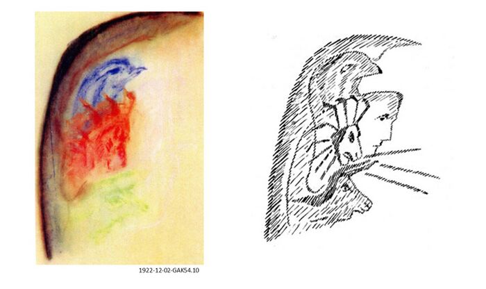 shows an illustrations of the concept of the human being arising as a merging or blending of group souls of humanity - see also Sphinx and compare with variant Schema FMC00.215B. On the left the illustration by Rudolf Steiner titled 'group souls - human being', with in blue Eagle, in red Lion, in (light) green Bull. For correspondences see also Schema FMC00.283 and Schema FMC00.177, for illustration of the human etheric body see Schema FMC00.665