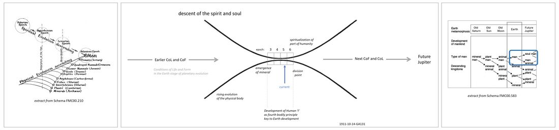 shows the decisive phase for the development of humanity between the third Lemurian epoch and the Sixth epoch. In the Lemurian epoch, the spirit and group souls descended into the physical bodies that had developed to sufficient complexity to be able to develop the Human 'I'. This is shown left with the extract from Schema FMC00.210. The process of individuation through the Development of the I is still ongoing in the Current fifth Postatlantean epoch. In the next Sixth epoch, part of humanity will spiritualize again. A bifurcation is happening with a decisive division between good and evil branches of mankind, starting today but especially the coming millenia and onwards. As a result of this, the balanced and spiritually mature (represented by the path of the Christ) will be able to continue development in non-physical changing conditions on Earth and beyond. Others will be chained to the lower material realms and ultimately make up a lower kingdom on the next planetary stage of evolution Future Jupiter. This is shown right with an extract from Schema FMC00.583 and the evolution of the kingdoms of nature per planetary stage. The central illustration is based and inspired on Rudolf Steiner's drawings in the lecture of 1911-10-14-GA131, see also Schema FMC00.591A.