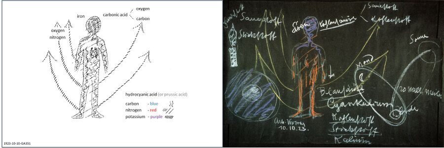 shows the blackboard drawing from the lecture 1923-10-10-GA351 as a complementary illustration to Schema FMC00.542.