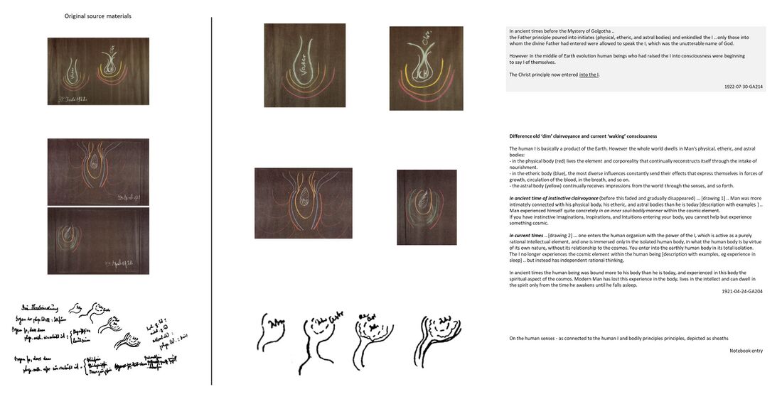 bundles illustrations from various lectures where Rudolf Steiner uses the 'onions sheaths' depiction of Man's bodily principles to illustrate - in different contexts - how consciousness relates to the lower bodily sheaths. For this type of presentation, see also Schema FMC00.575, Schema FMC00.356; and similarly for the development of the lower bodies themselves before, Schema FMC00.574.