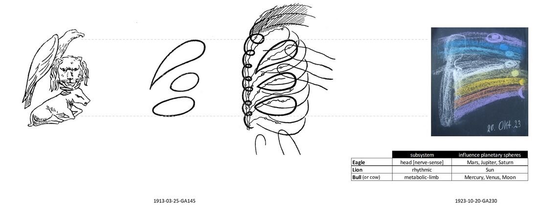 illustrates Man as a threefold being with the three subsystems linked to the Eagle, Lion and Bull group soul influences. For artistic rendering by Rudolf Steiner and Eliphas Levi see Schema FMC00.215 and Schema FMC00.215A