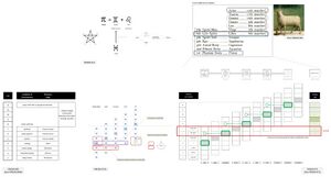FMC00.656.jpg