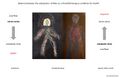 Thumbnail for version as of 12:17, 16 June 2025