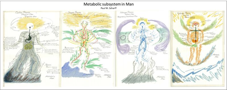 File:Metabolic subsystem 01 scharff.jpg
