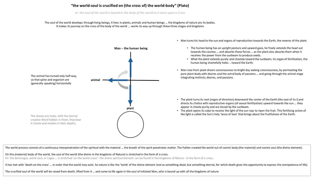 depicts the saying by Plato that the world-soul is crucified on (the cross of) the world-body, or: the soul of the world is bound to the body of the world as it were upon a Cross. The soul of the world develops through living beings and has its bodies in the kingdoms of nature. On the physical-material body of the world, the soul of the world (the divine in the kingdoms of Nature) is stretched in the form of a cross. This is the origin and meaning of the cross in the ancient history of humanity as it arose from the teachings of the ancient Mysteries. See also: Four kingdoms of nature#Note 1 - About crosses and Schema FMC00.654 - the world soul is crucified on the world cross of matter