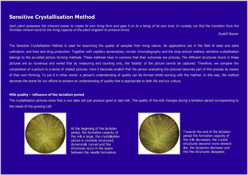 File:Beatrix Waldburger - introductory flyer on Sensitive crystallization.pdf
