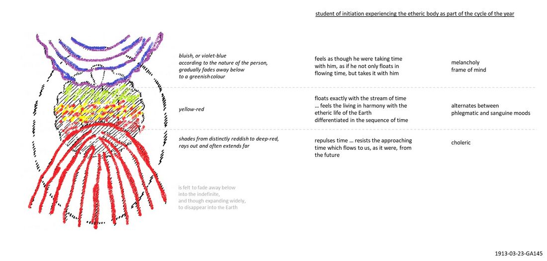 shows the human etheric body and how the three parts are differentiated clairvoyantly and also experientially