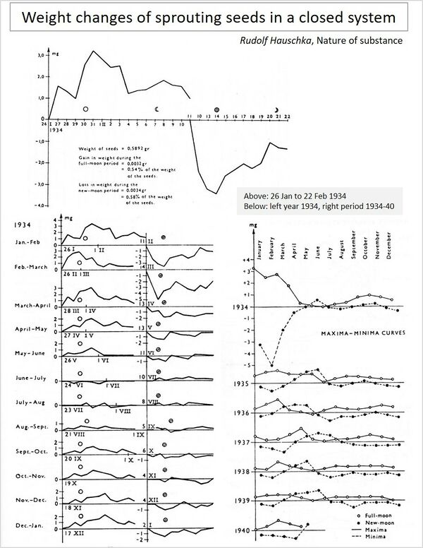 FMC00.011.jpg